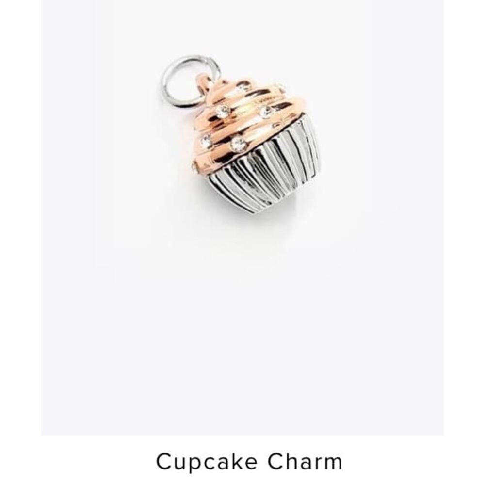 Cupcake Charm from Just Jewelry Brand